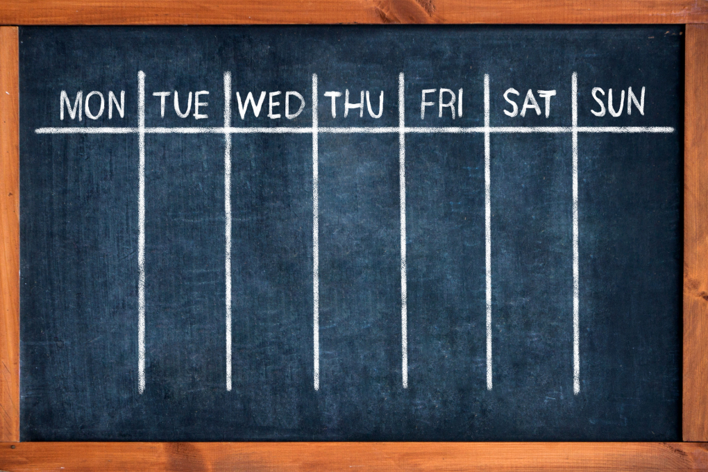Blank weekly classroom schedule on a chalkboard — supports structured learning and thematic planning for animal habitats, colours, and routines.